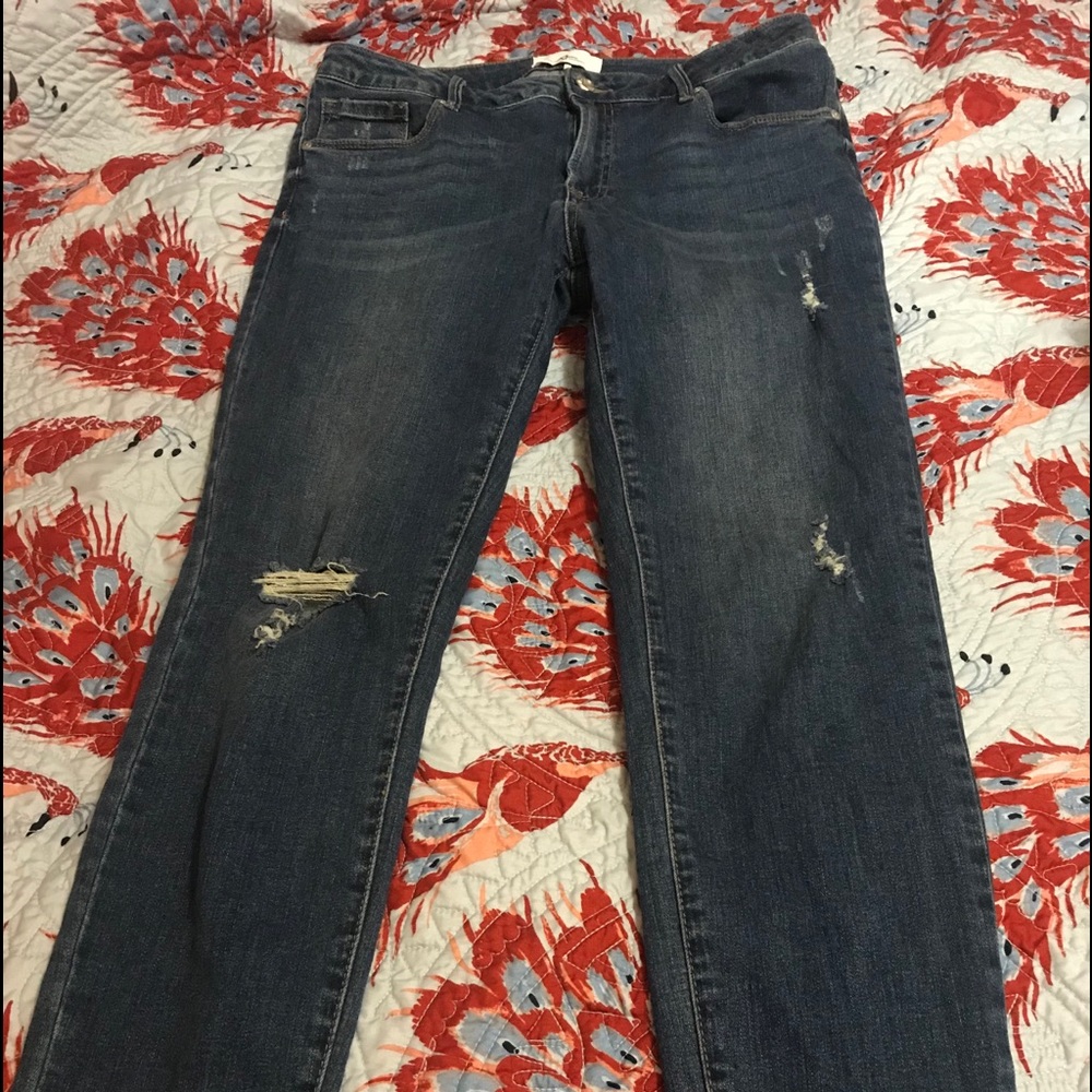 Cotton Spandex Straight Leg Jeans
